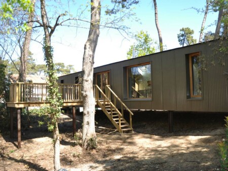 vivanbois construction terrasse bois et garde corps chataignier saint georges de didonne