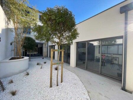 vue extérieur jardin minéralisé